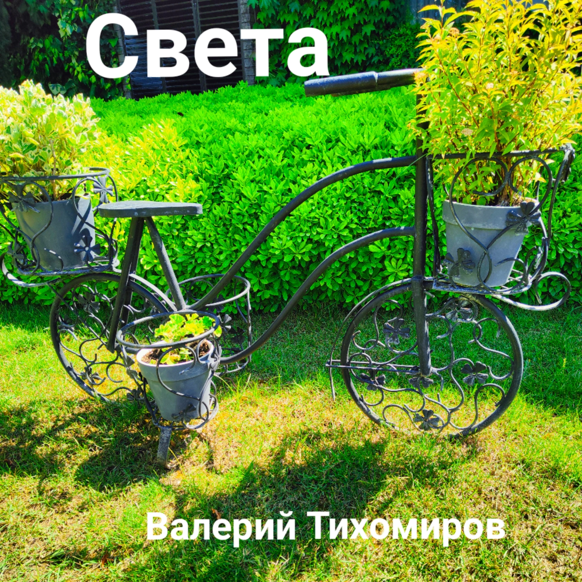 Света