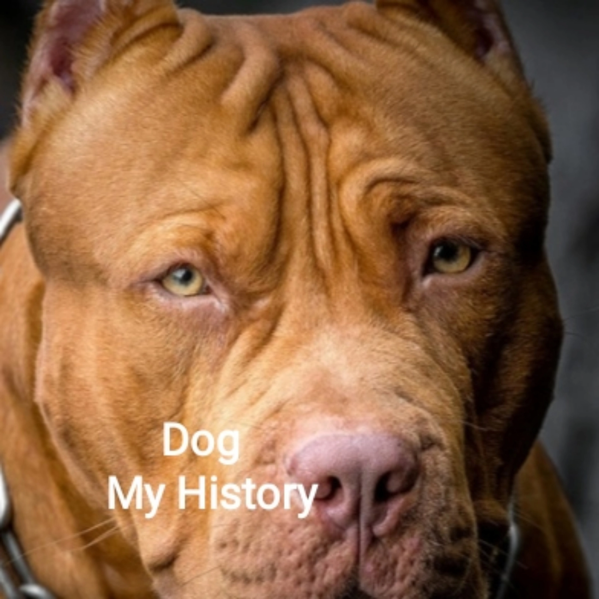track cover