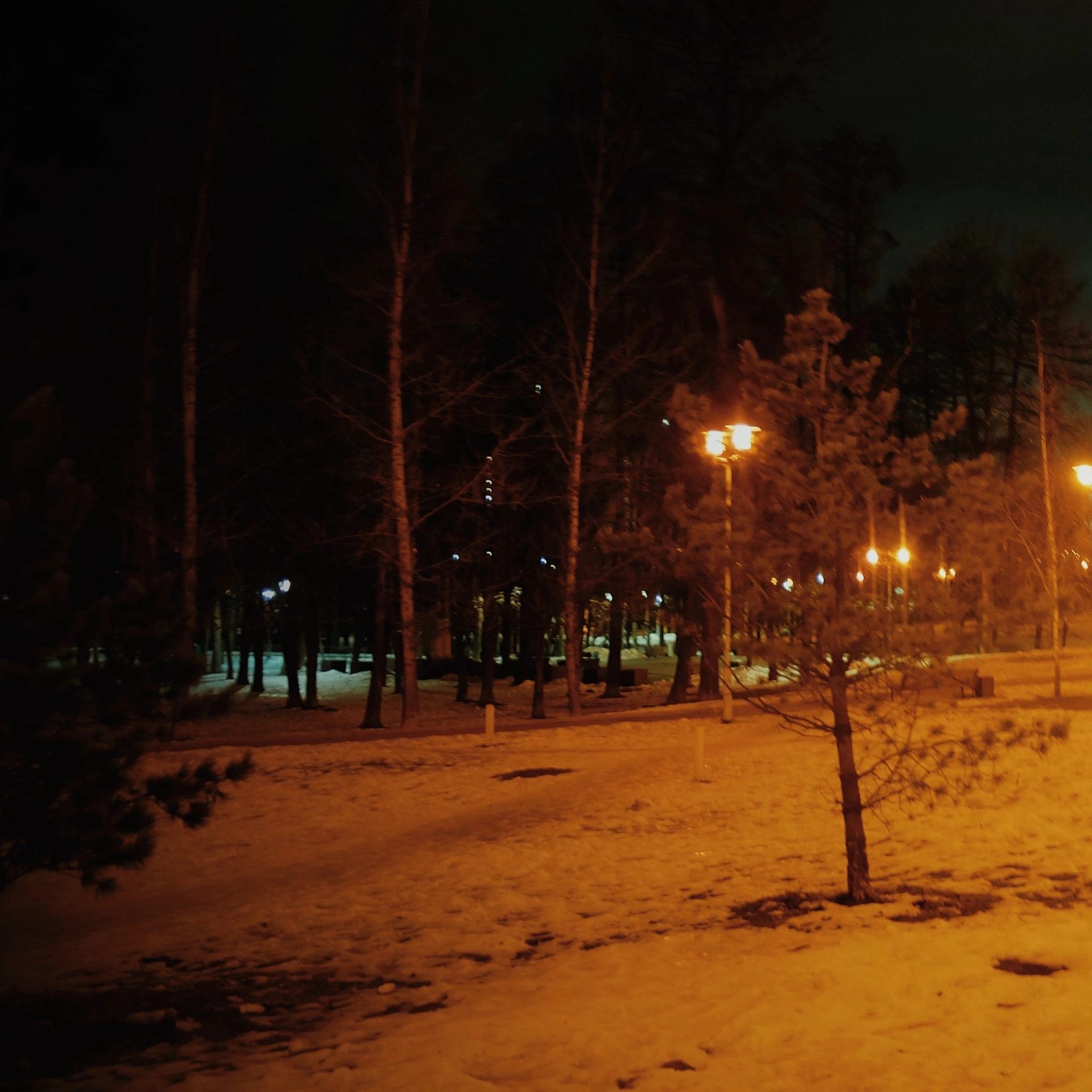 track cover