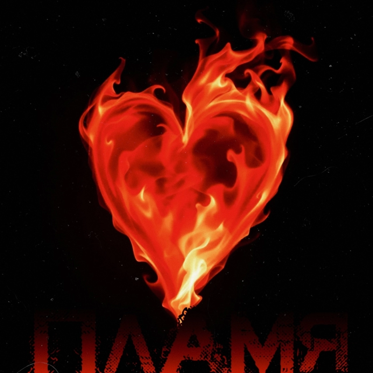 track cover