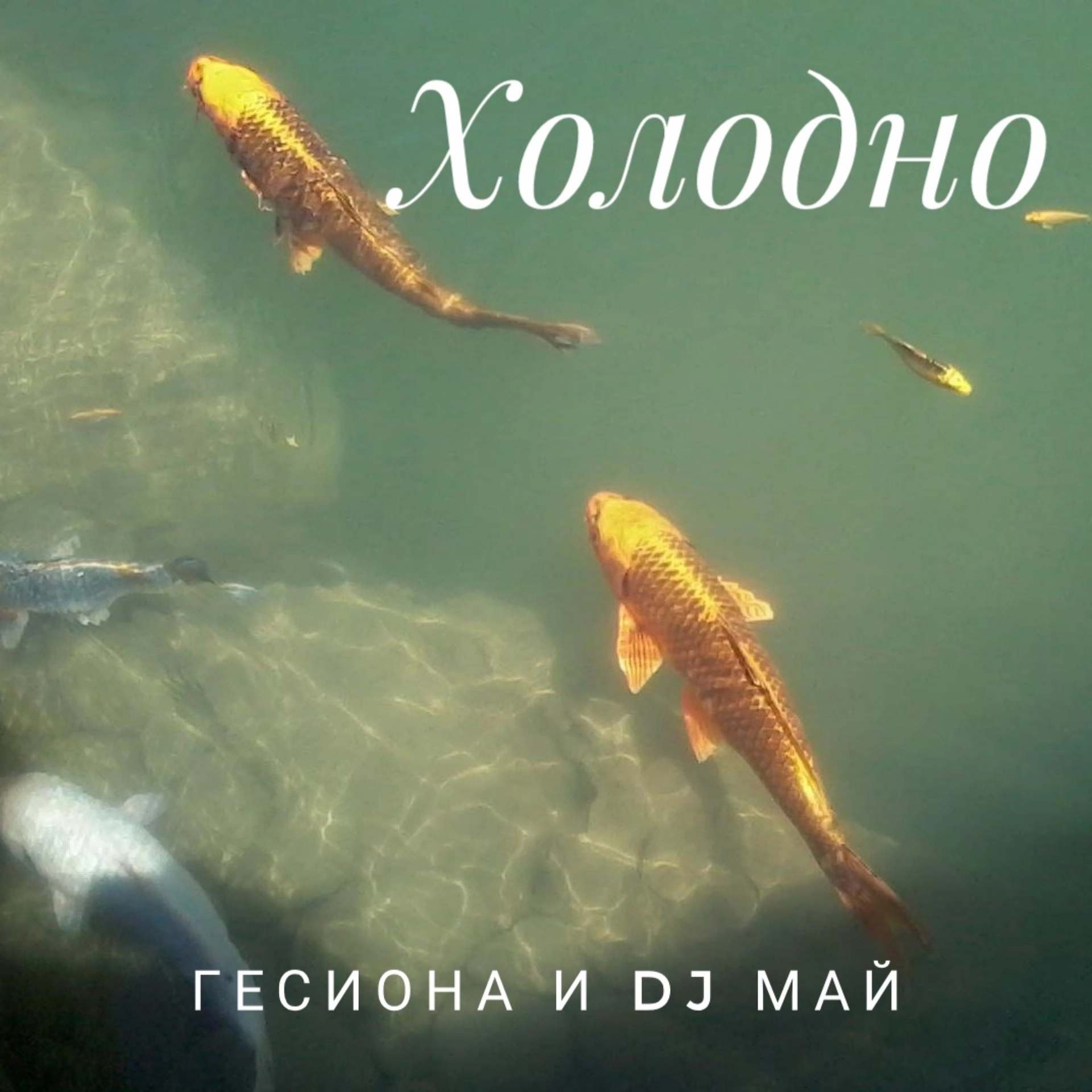 track cover