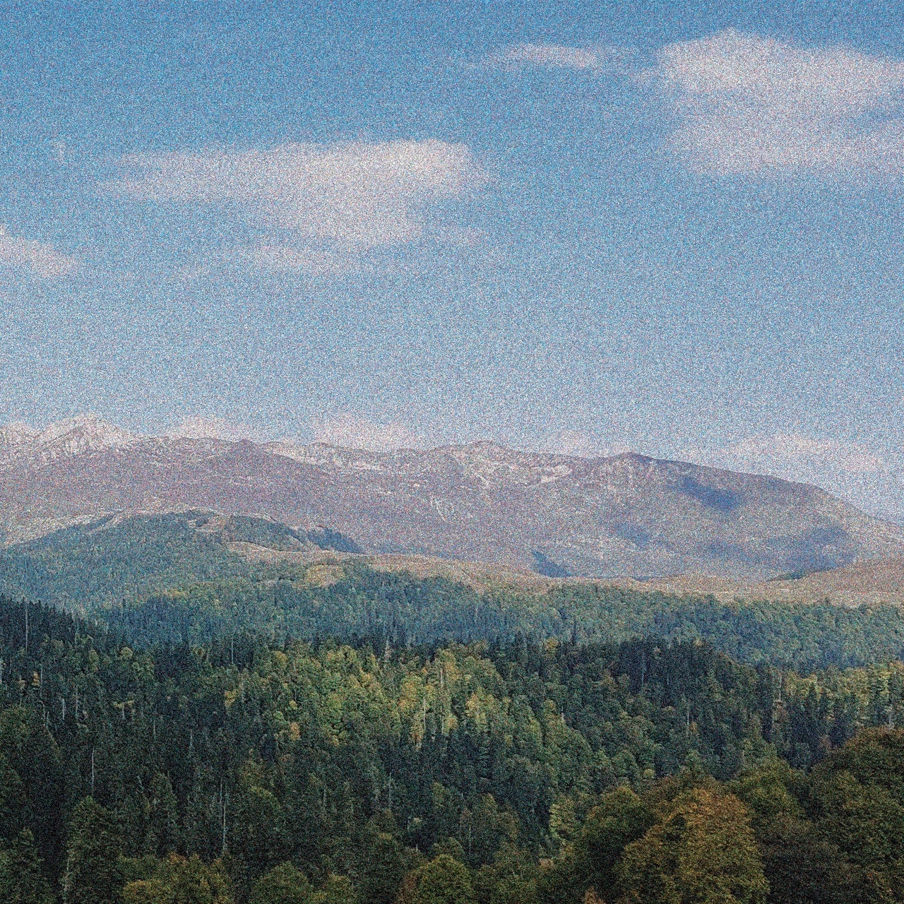 track cover