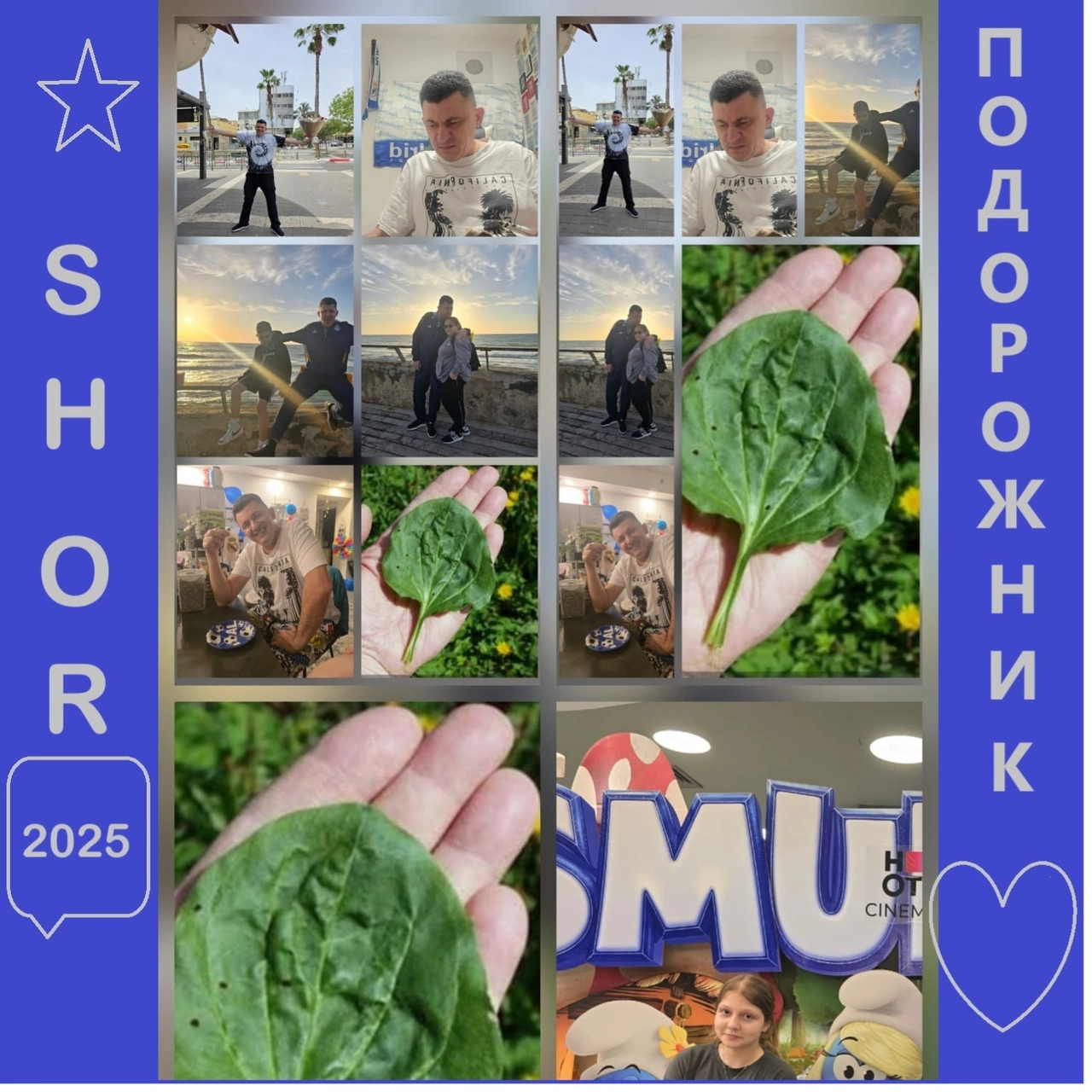 track cover