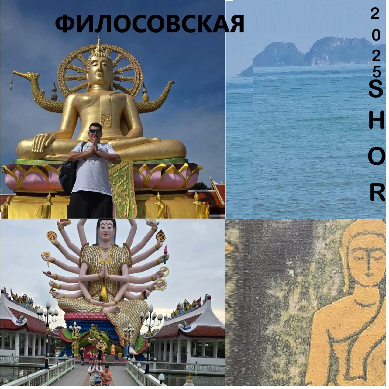 track cover