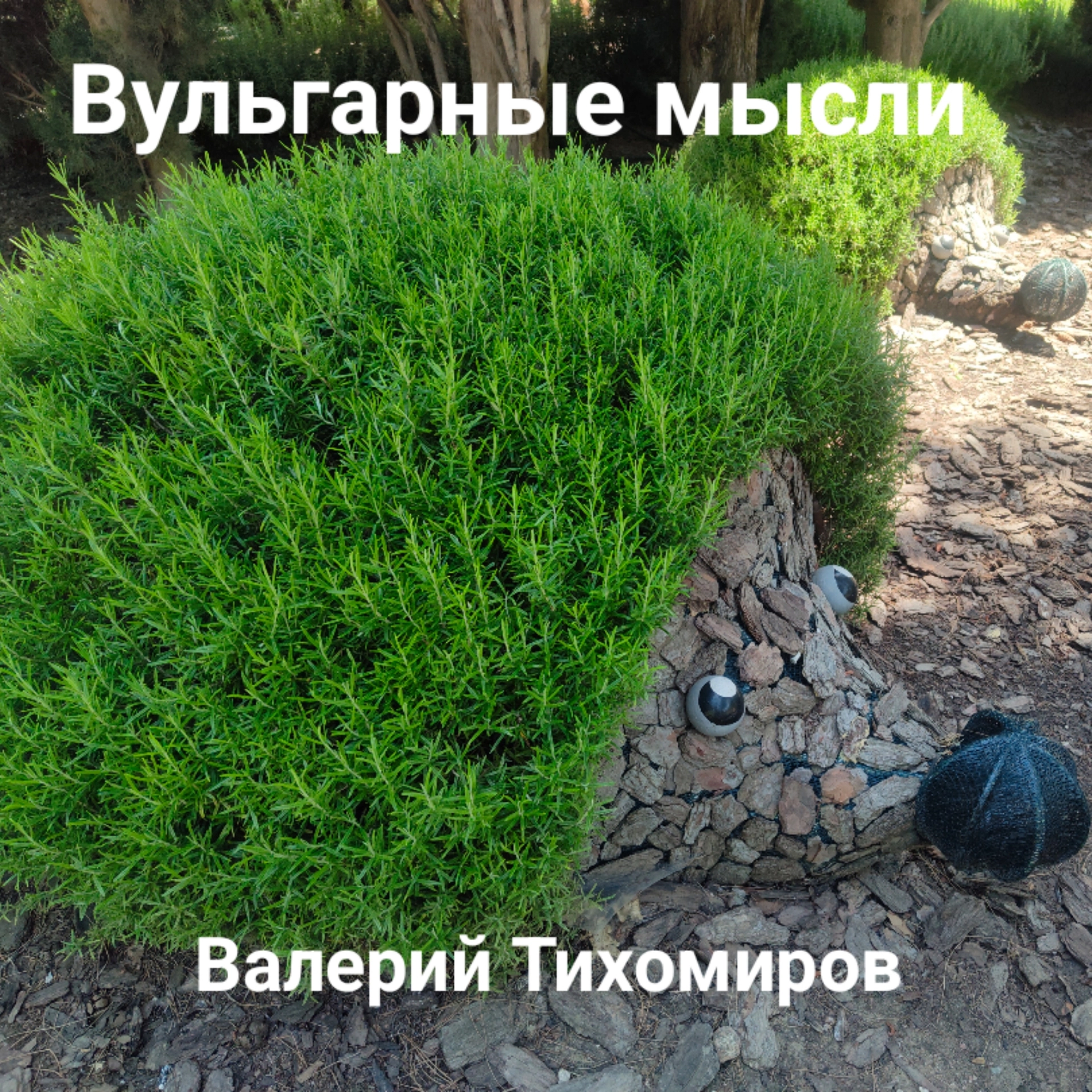 Вульгарные мысли