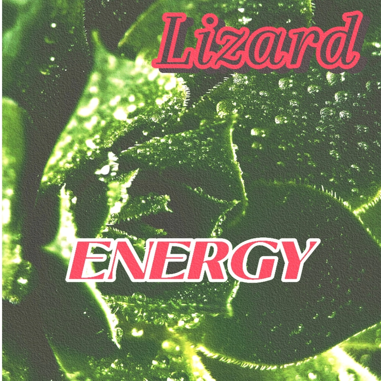 track cover